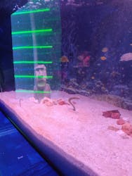 ひらかたパークに投稿された画像(2025/12/21)