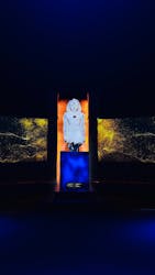 ACN ラムセス大王展 ファラオたちの黄金に投稿された画像(2025/12/21)