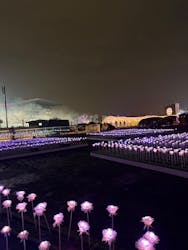 東京メガイルミに投稿された画像(2025/12/21)