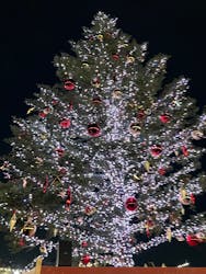 Christmas Market in 横浜赤レンガ倉庫 2025に投稿された画像(2025/12/21)