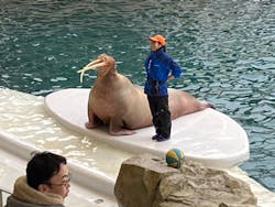 城崎マリンワールドに投稿された画像(2025/12/21)