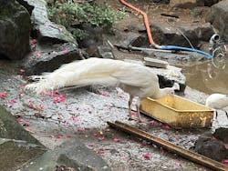 伊豆シャボテン動物公園に投稿された画像(2025/12/21)