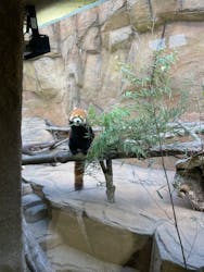 那須どうぶつ王国に投稿された画像(2025/12/22)