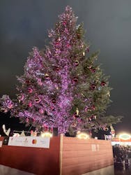 Christmas Market in 横浜赤レンガ倉庫 2025に投稿された画像(2025/12/22)