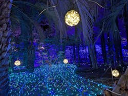 江の島シーキャンドルに投稿された画像(2025/12/22)