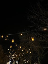 さがみ湖MORI MORIに投稿された画像(2025/12/22)