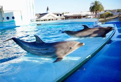 南知多ビーチランド&南知多おもちゃ王国に投稿された画像(2025/12/24)