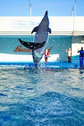 南知多ビーチランド&南知多おもちゃ王国に投稿された画像(2025/12/24)