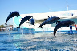 南知多ビーチランド&南知多おもちゃ王国に投稿された画像(2025/12/24)