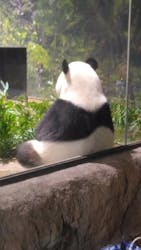 恩賜上野動物園に投稿された画像(2025/12/25)