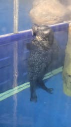 新江ノ島水族館に投稿された画像(2025/12/25)