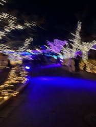 ひらかたパークに投稿された画像(2025/12/25)