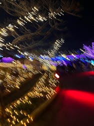 ひらかたパークに投稿された画像(2025/12/25)