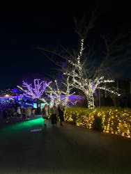 ひらかたパークに投稿された画像(2025/12/25)