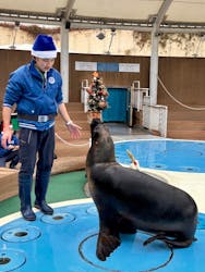 サンシャイン水族館に投稿された画像(2025/12/26)