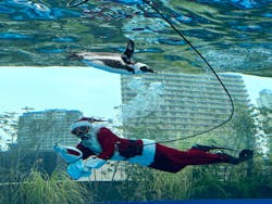 サンシャイン水族館に投稿された画像(2025/12/26)