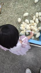 東京あそびマーレに投稿された画像(2025/12/26)