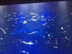 四国水族館に投稿された画像(2025/12/27)