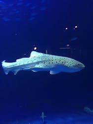 四国水族館に投稿された画像(2025/12/27)