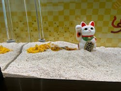 大分マリーンパレス水族館 「うみたまご」に投稿された画像(2025/12/27)