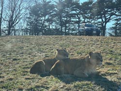 東北サファリパークに投稿された画像(2025/12/28)