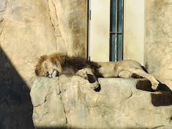 千葉市動物公園に投稿された画像(2025/12/28)