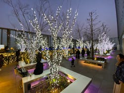 ハルカス300(展望台)に投稿された画像(2025/12/28)