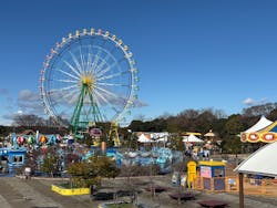 国営ひたち海浜公園プレジャーガーデンに投稿された画像(2025/12/28)