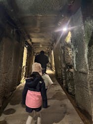 地底王国「美川ムーバレー」に投稿された画像(2025/12/29)