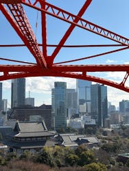 東京タワーに投稿された画像(2025/12/29)