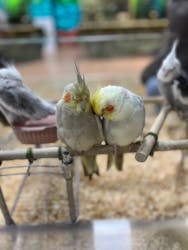 いきもの探検隊上尾に投稿された画像(2025/12/29)