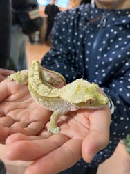 いきもの探検隊上尾に投稿された画像(2025/12/29)