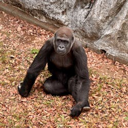 千葉市動物公園に投稿された画像(2025/12/29)