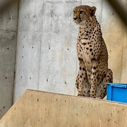 千葉市動物公園に投稿された画像(2025/12/29)