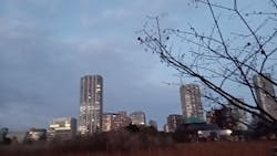 恩賜上野動物園に投稿された画像(2025/12/29)