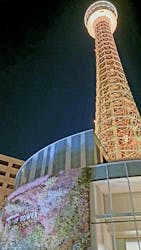 横浜マリンタワーに投稿された画像(2025/12/29)