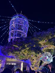 江の島シーキャンドルに投稿された画像(2025/12/29)