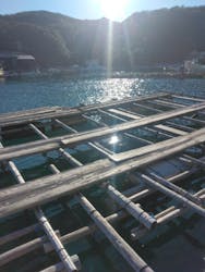 志摩市浜島磯体験施設 海ほおずきに投稿された画像(2025/12/29)