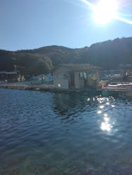 志摩市浜島磯体験施設 海ほおずきに投稿された画像(2025/12/29)