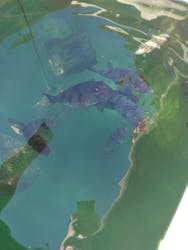 志摩市浜島磯体験施設 海ほおずきに投稿された画像(2025/12/29)