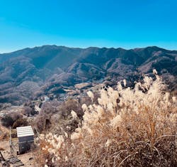 さがみ湖MORI MORIに投稿された画像(2025/12/29)