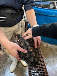 下田海中水族館に投稿された画像(2025/12/30)