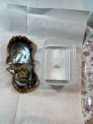 下田海中水族館に投稿された画像(2025/12/30)