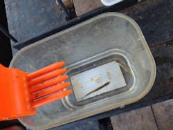 NaturaBaseに投稿された画像(2025/12/30)