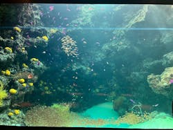 環境水族館アクアマリンふくしまに投稿された画像(2025/12/30)