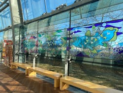 環境水族館アクアマリンふくしまに投稿された画像(2025/12/30)