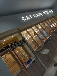 猫カフェモカ 名古屋則武新町店に投稿された画像(2025/12/30)