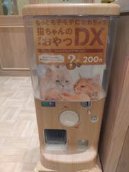 猫カフェモカ 名古屋則武新町店に投稿された画像(2025/12/30)