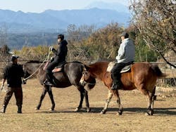 Moon River Horseに投稿された画像(2025/12/30)