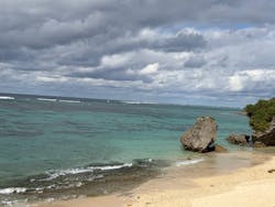 沖縄美ら海水族館に投稿された画像(2025/12/30)